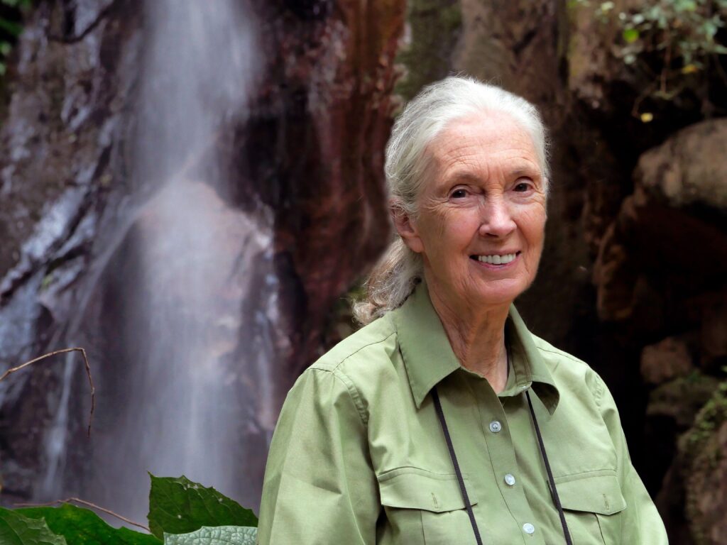 Dr Jane Goodall beside a waterfall in Gombe National Park 2 credit the Jane Goodall Institute Bill Wallauer scaled