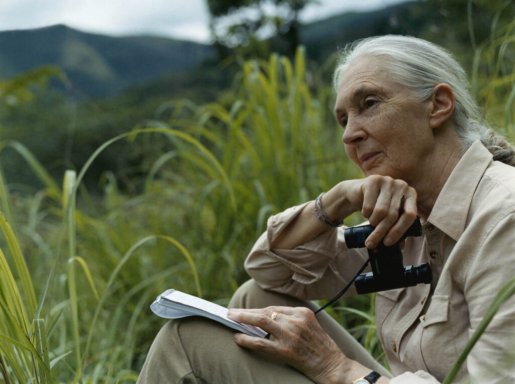 Jane Goodall at Gombe credit GANT Morten Bjarnhof